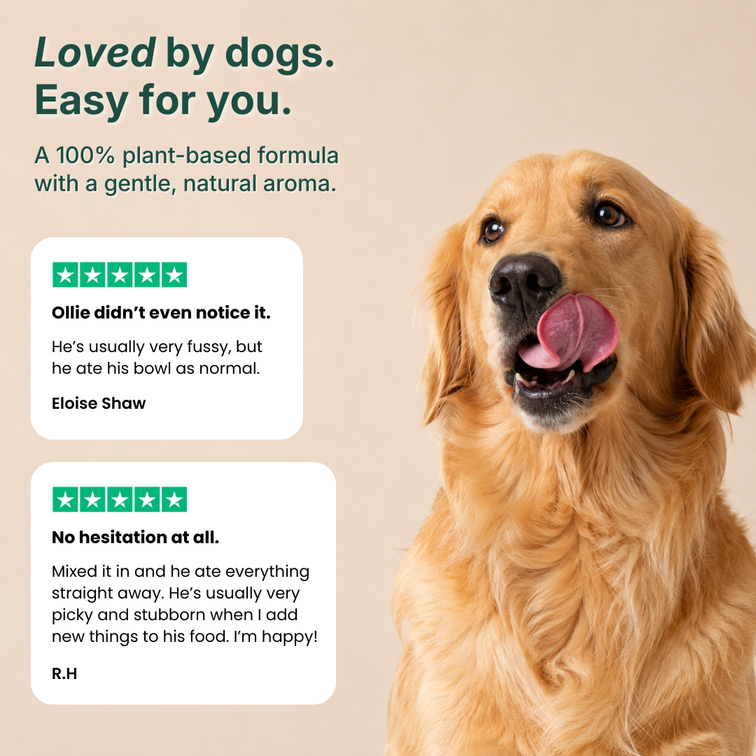 Try EverDog Daily Longevity for 7 Days - Just Pay Postage