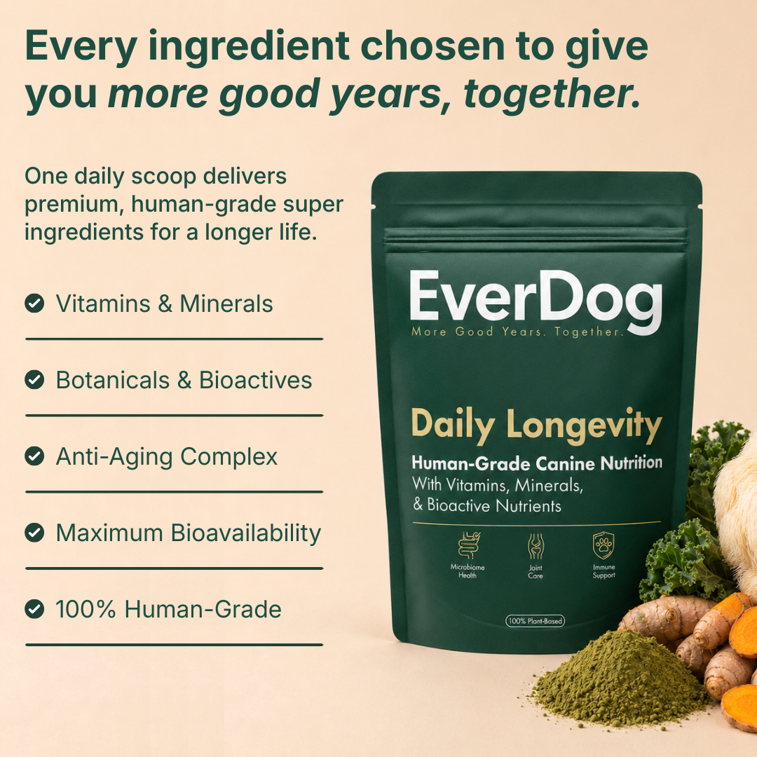 Try EverDog Daily Longevity for 7 Days - Just Pay Postage