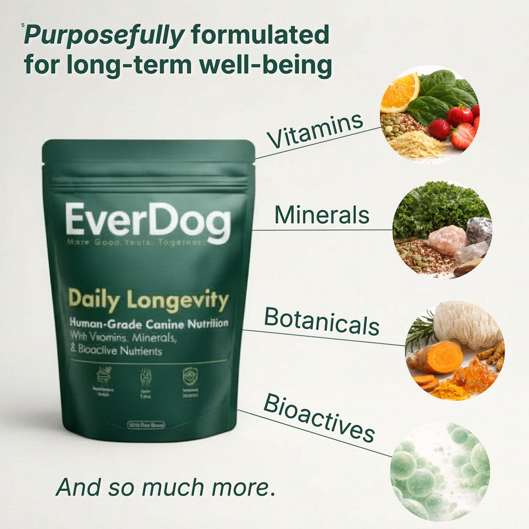 EverDog Daily Longevity human-grade canine nutrition pouch with vitamins, minerals, botanicals, and bioactives.