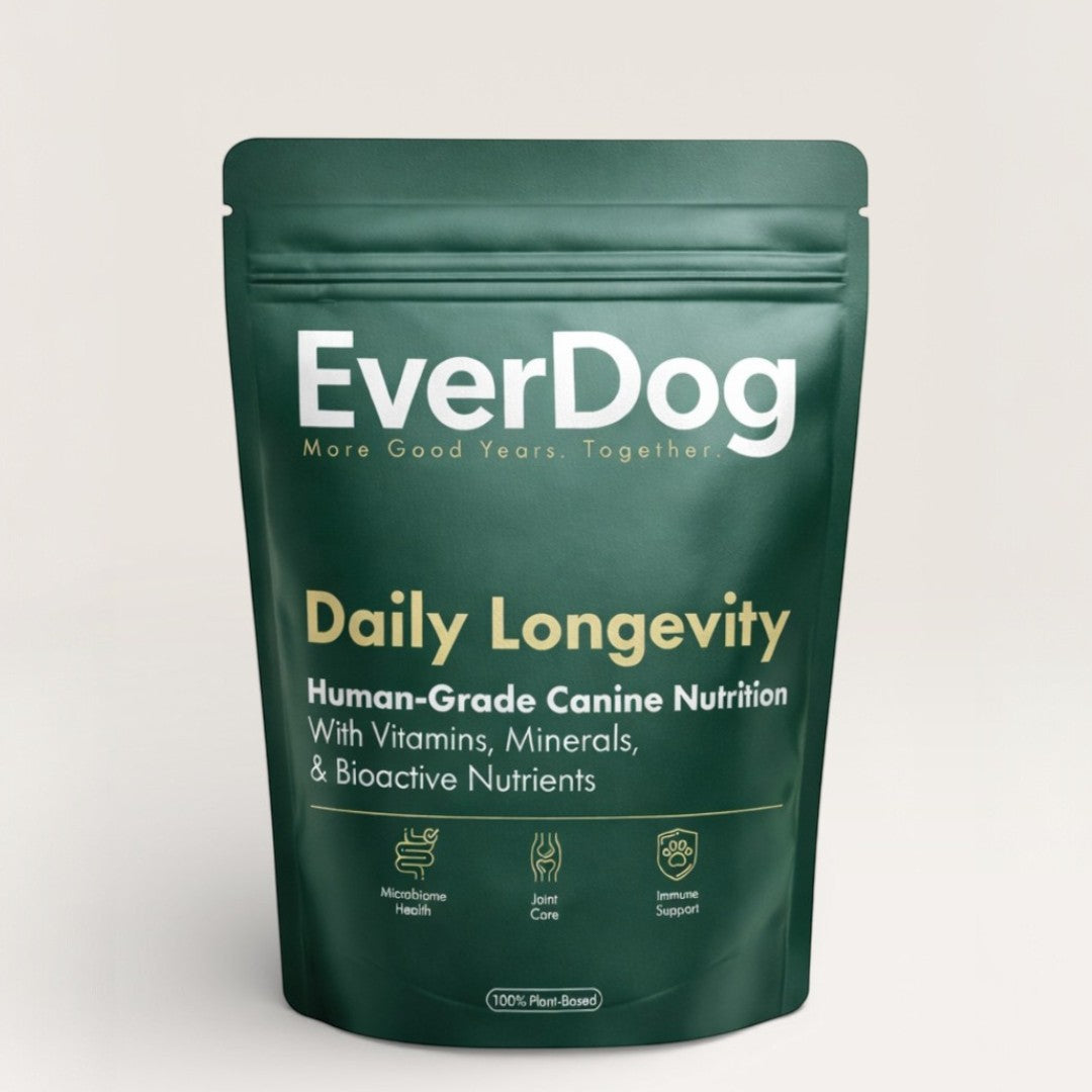 EverDog Daily Longevity human-grade canine nutrition pouch with vitamins, minerals, and bioactive nutrients for microbiome health, joint care, and immune support.