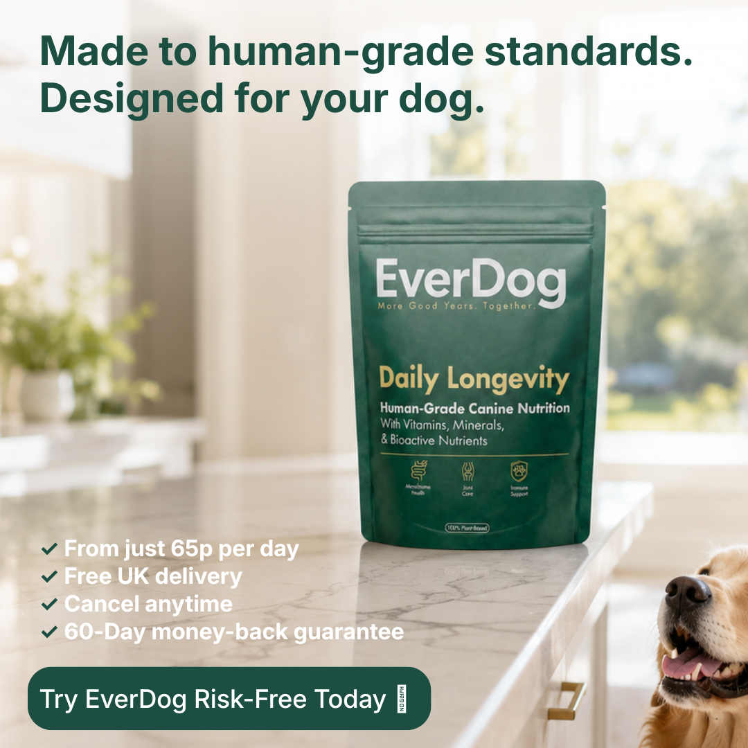 Daily Longevity
