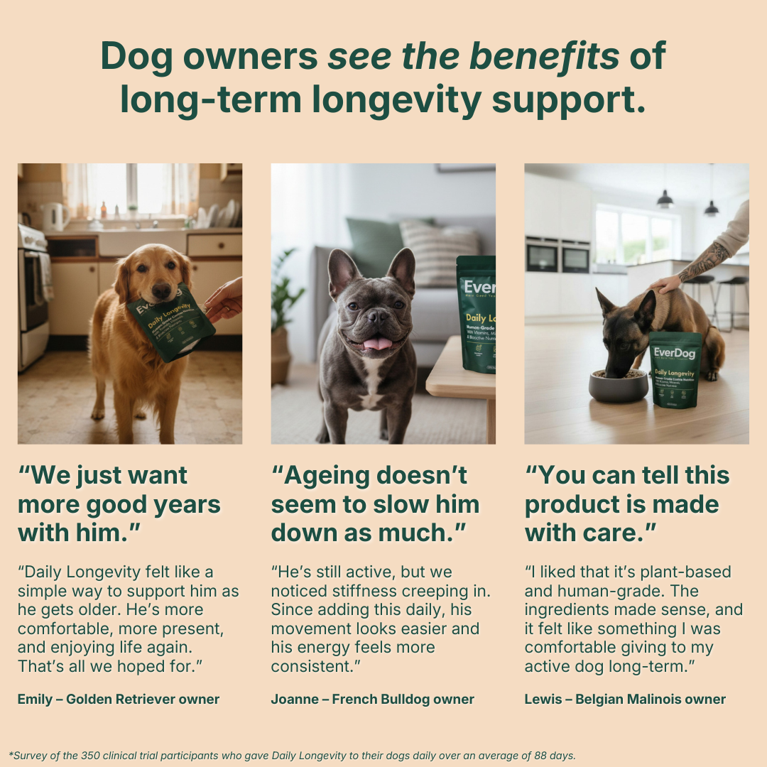 Try EverDog Daily Longevity for 7 Days - Just Pay Postage