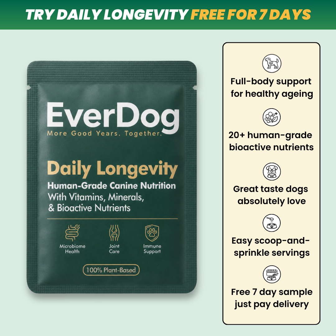 Try EverDog Daily Longevity for 7 Days - Just Pay Postage