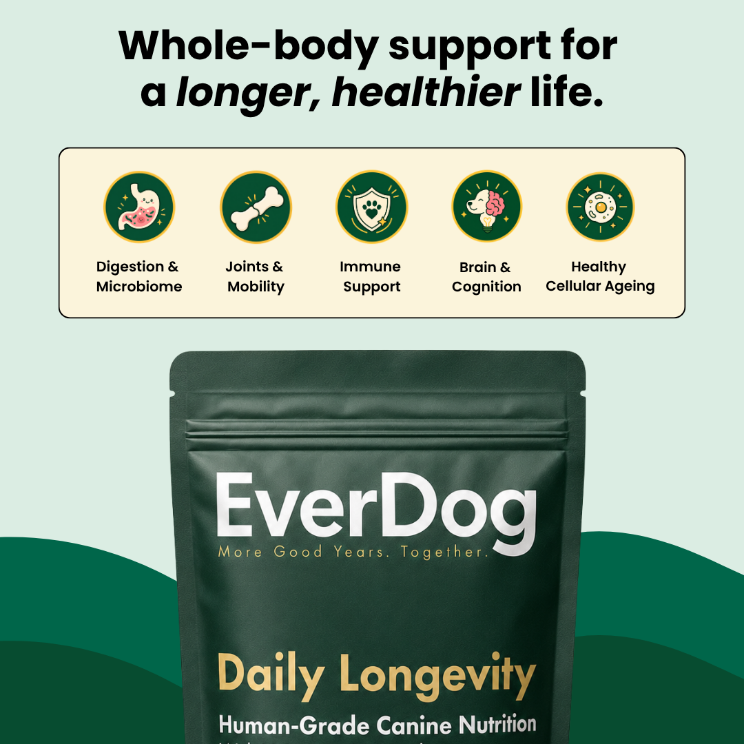 Try EverDog Daily Longevity for 7 Days - Just Pay Postage