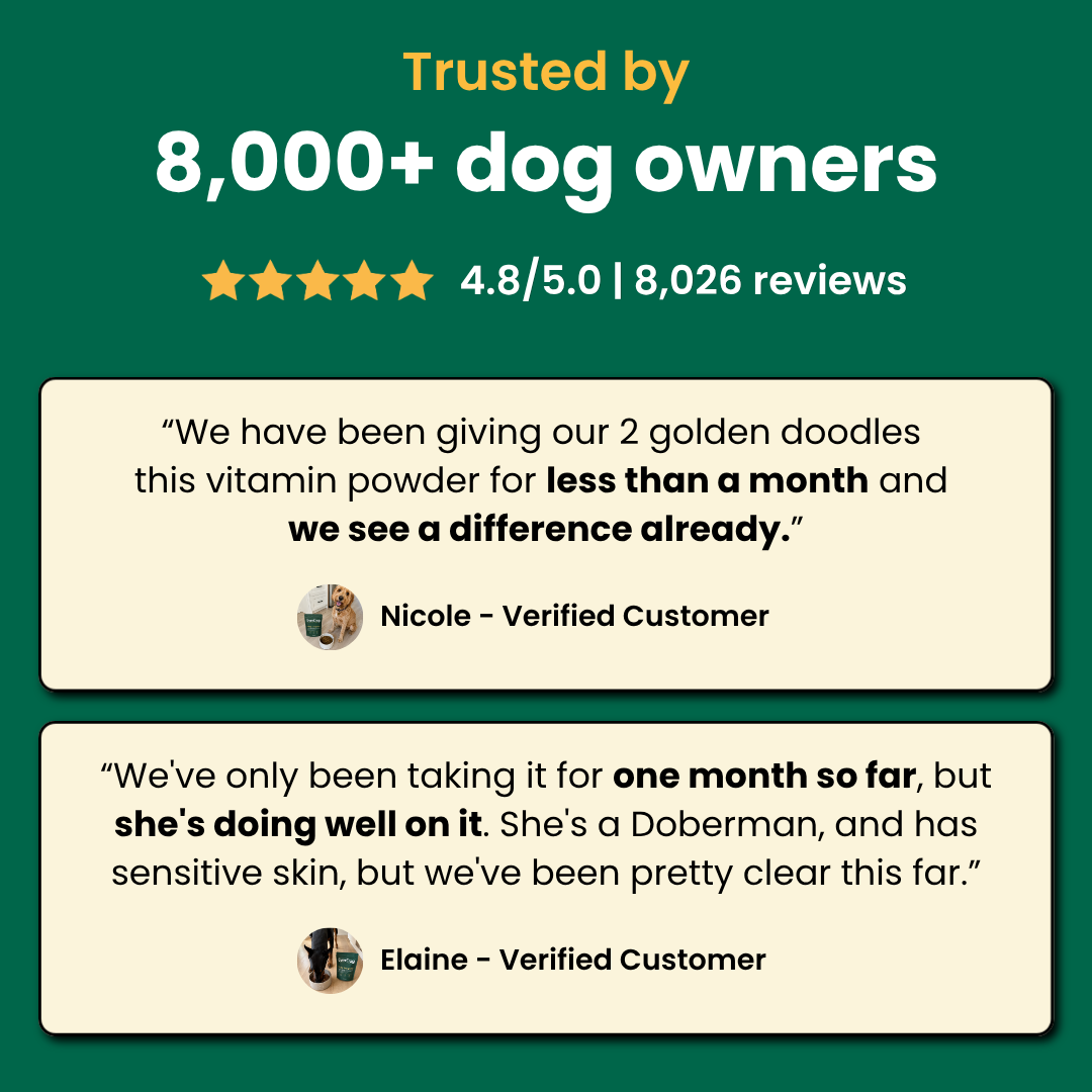 Try EverDog Daily Longevity for 7 Days - Just Pay Postage