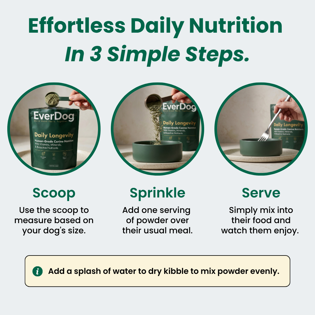 Try EverDog Daily Longevity for 7 Days - Just Pay Postage