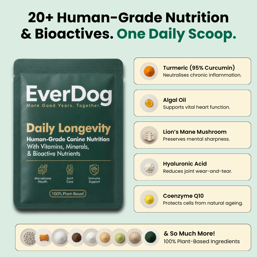 Try EverDog Daily Longevity for 7 Days - Just Pay Postage