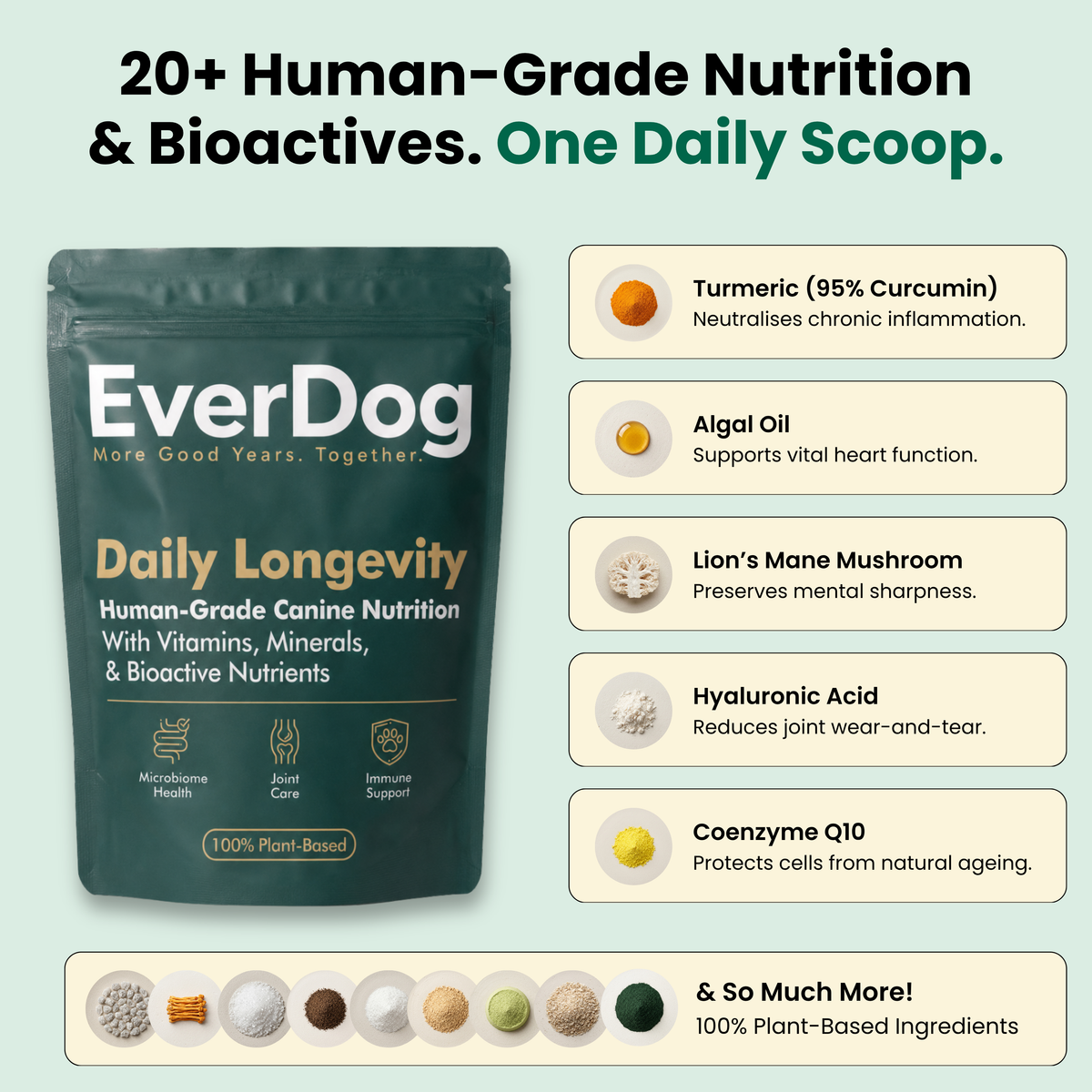 Daily Longevity