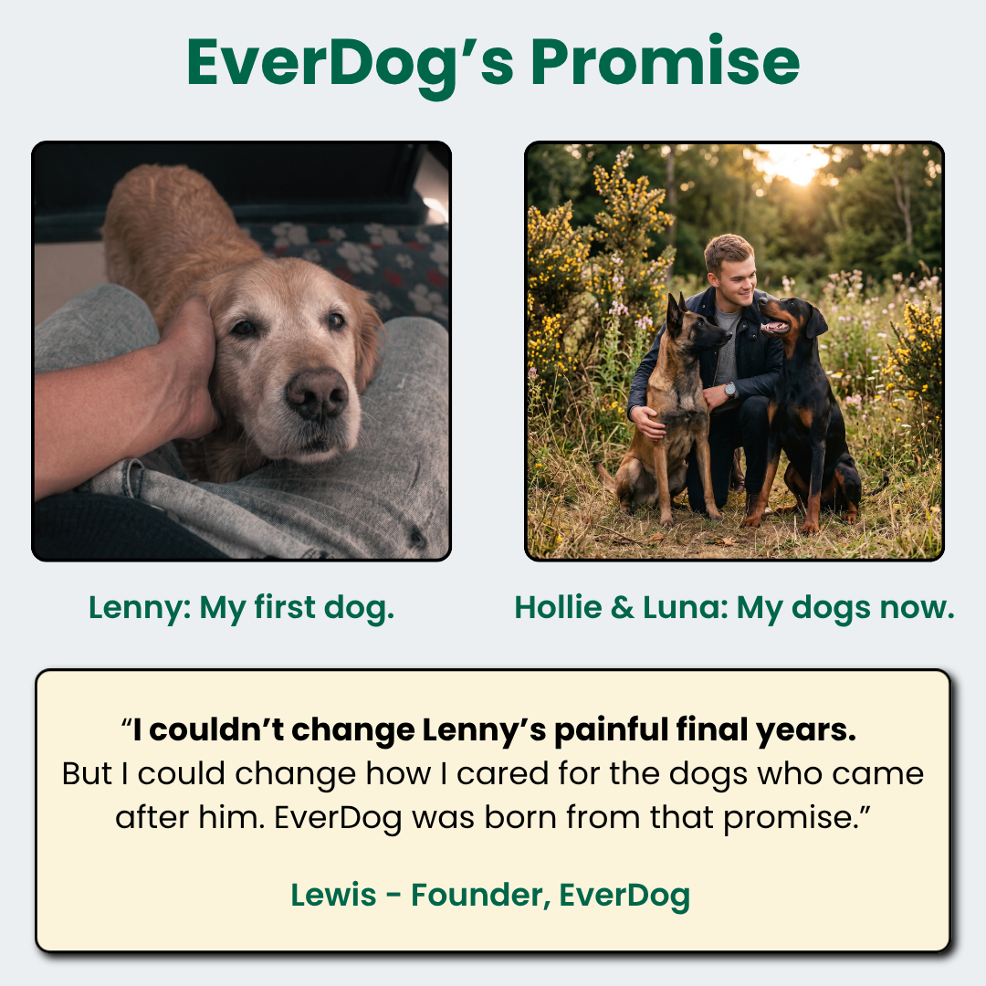 Try EverDog Daily Longevity for 7 Days - Just Pay Postage